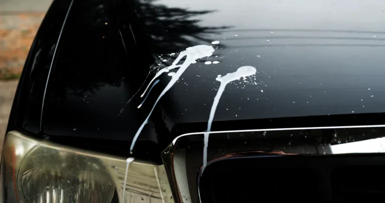 Can bird droppings damage car paint