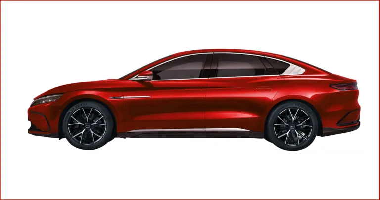 China's Thriving EV Brands for 2024