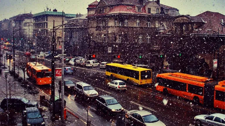 Buses Are Better than Trains to Travel