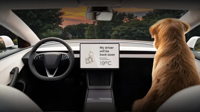 Tesla Robotaxi cars