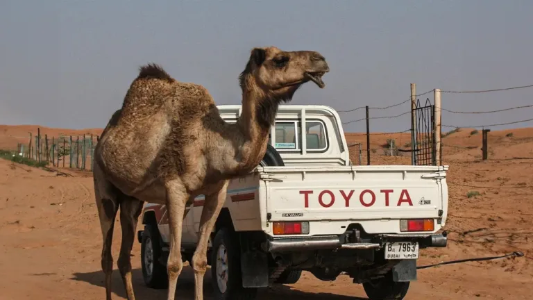 How Many Toyota Cars Are Sold Every Year? The Numbers Will Leave You Speechless