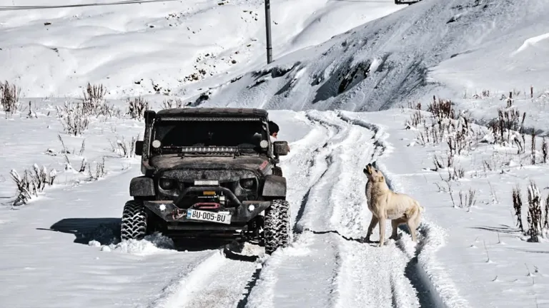 The Ultimate Winter Car Maintenance Checklist to Protect Your Car in Freezing Weather