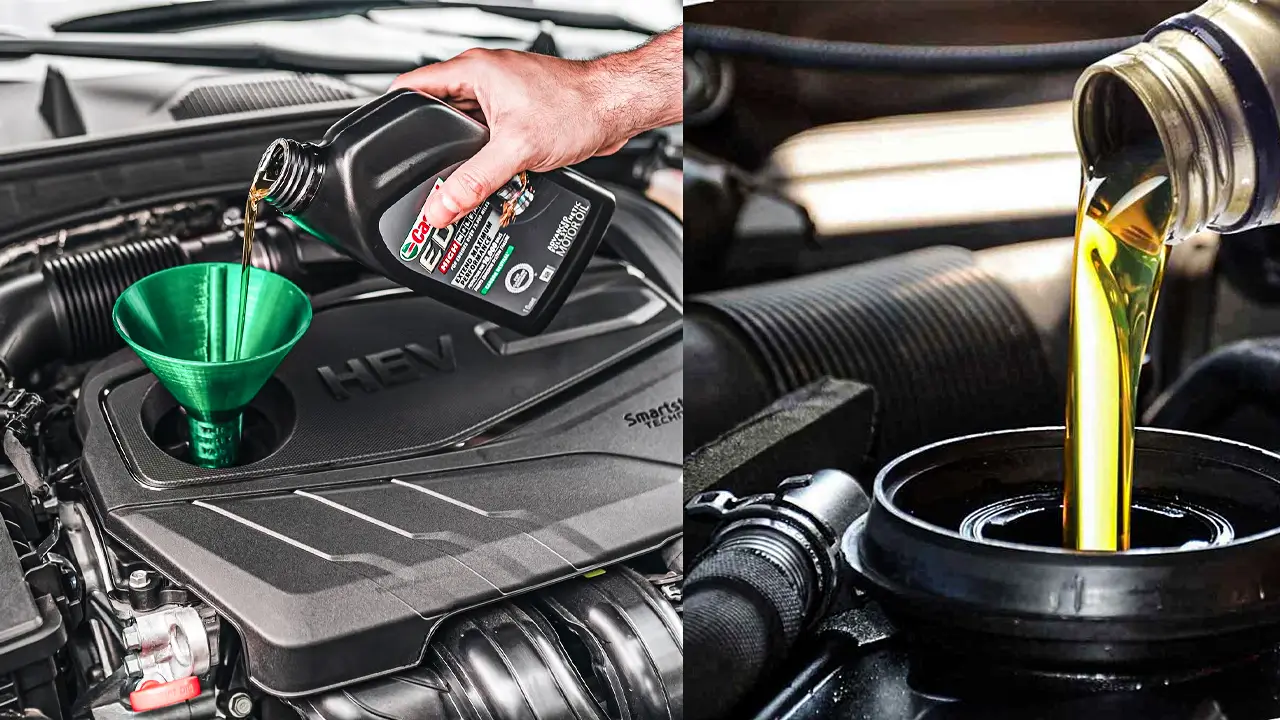 Oil Change Expert Guide