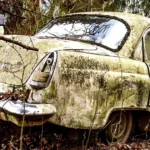 How to Bring an Old Car Back to Life